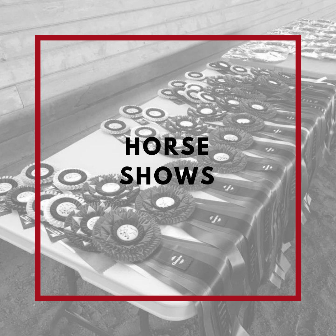 Horse Shows