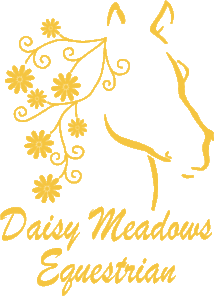 DME Gold Transparent